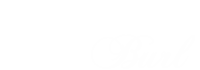 Premium Burl Logo / Home